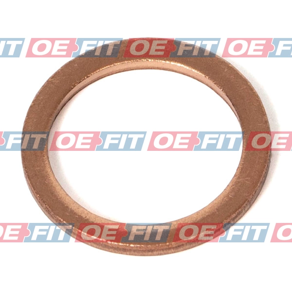 Seal Ring, oil drain plug (313 02 063 03 22)
