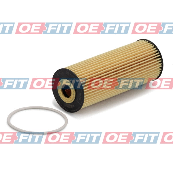 Oil Filter (310 12 312 02 22)