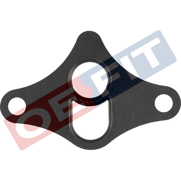 Gasket, EGR valve (313 16 991 02 22)