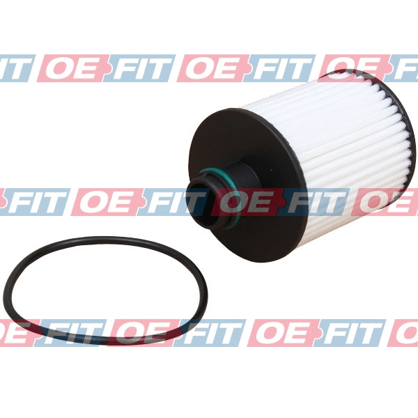 Oil Filter (310 16 365 03 22)