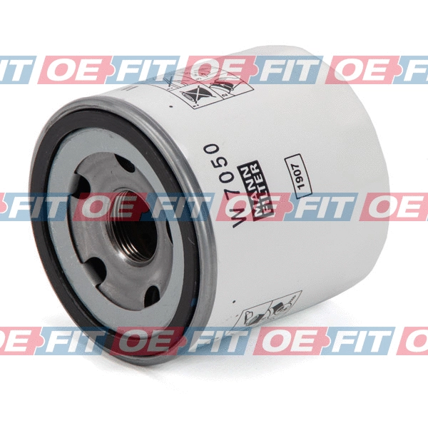 Oil Filter (310 06 369 02 22)