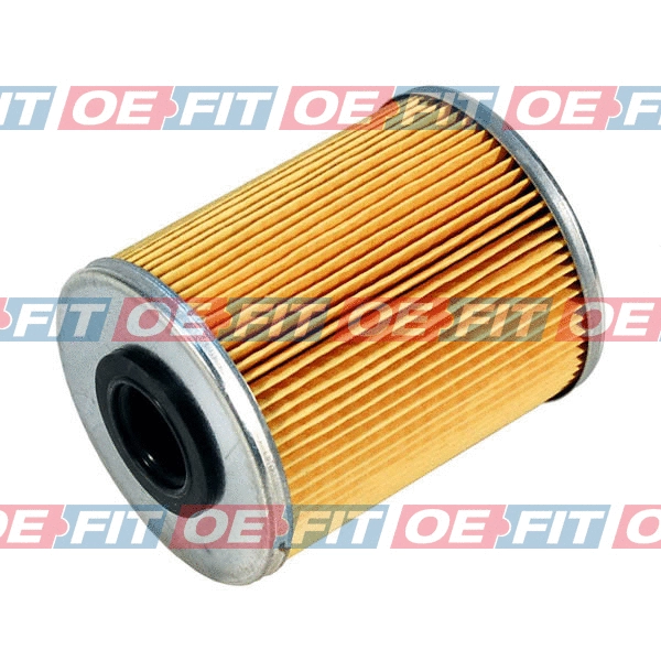 Fuel Filter (312 16 091 02 22)