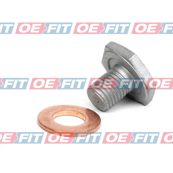 Screw Plug, oil sump (310 06 960 03 22)