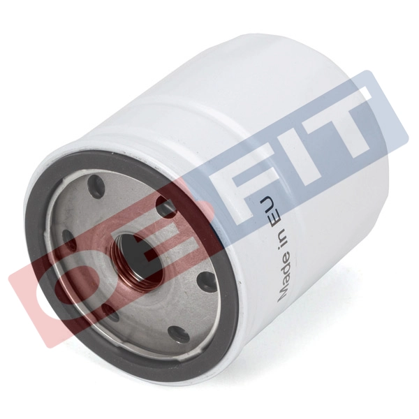 Oil Filter (310 06 132 02 22)