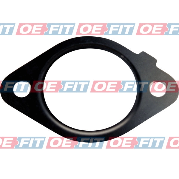 Gasket, EGR valve (313 18 932 03 22)