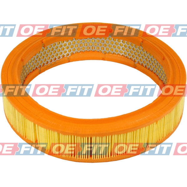 Air Filter (310 18 227 03 22)