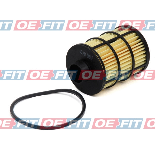 Fuel Filter (312 16 134 02 22)