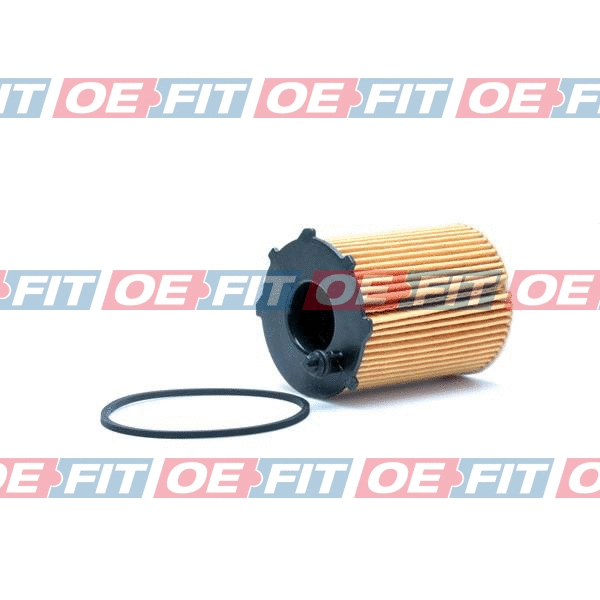 Oil Filter (310 27 221 02 22)
