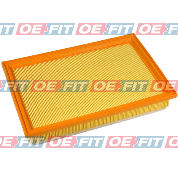 Air Filter (310 18 181 03 22)