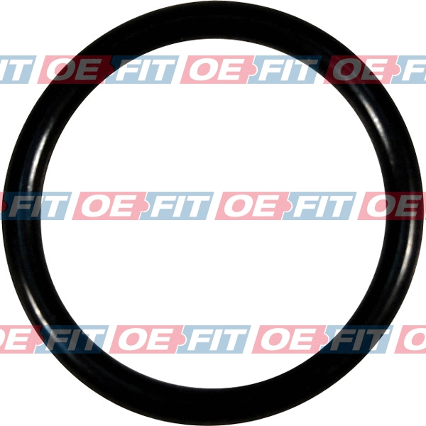 Seal Ring, oil drain plug (313 16 062 03 22)
