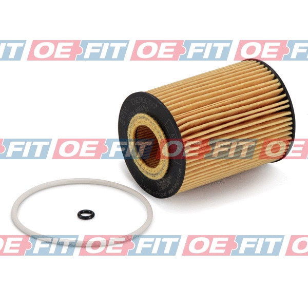 Oil Filter (310 12 362 03 22)