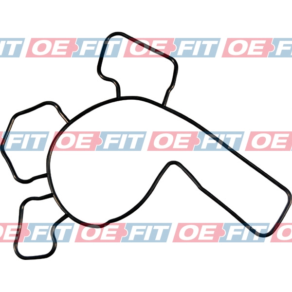 Gasket, water pump (313 16 435 03 22)