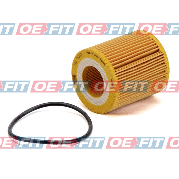 Oil Filter (310 06 330 02 22)