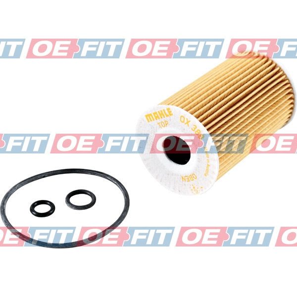 Oil Filter (310 18 216 02 22)