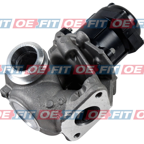 EGR Valve (312 06 337 02 22)
