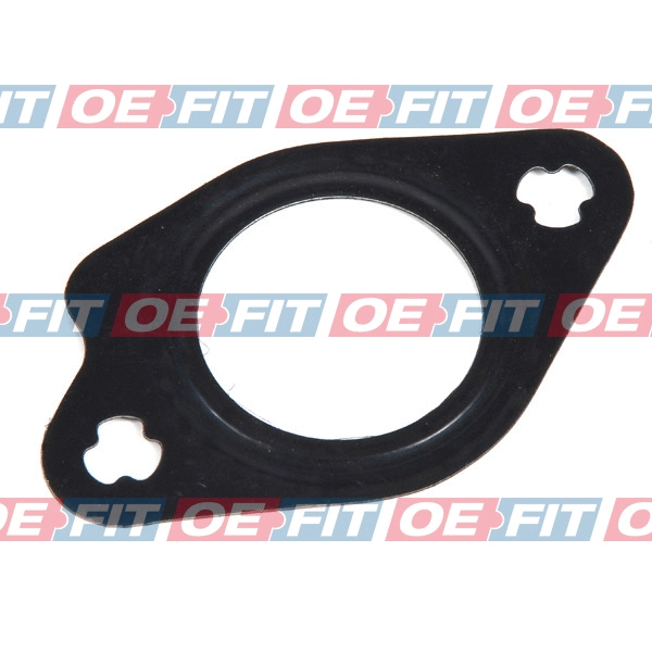 Gasket, EGR valve (313 12 902 03 22)
