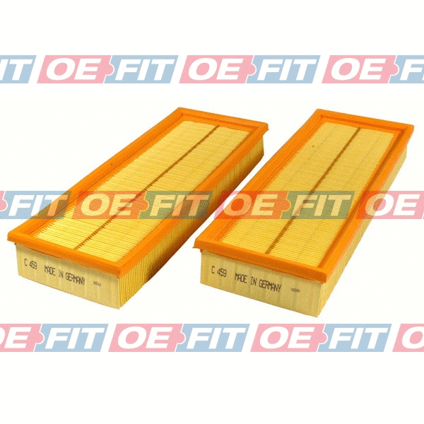 Air Filter (310 12 198 03 22)