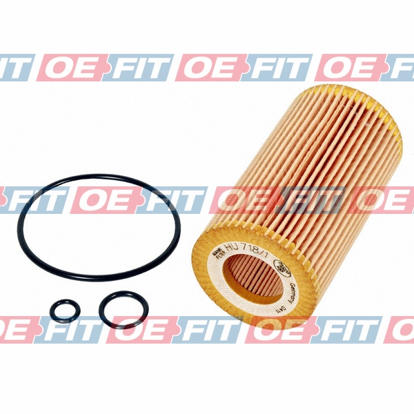 Oil Filter (310 12 397 02 22)