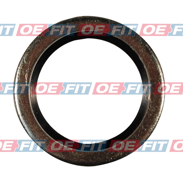 Seal Ring, oil drain plug (313 16 069 03 22)