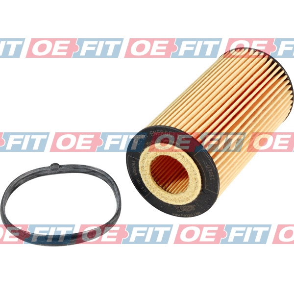 Oil Filter (310 18 212 03 22)
