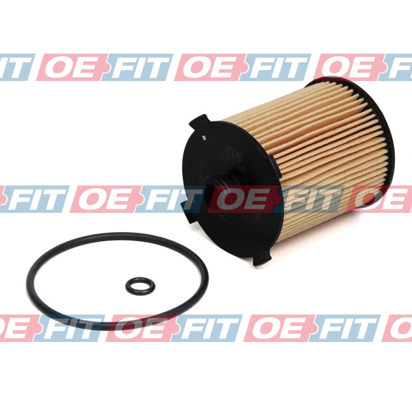 Oil Filter (310 38 133 02 22)