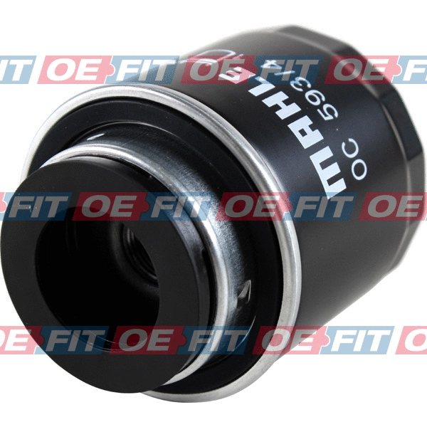 Oil Filter (310 18 168 03 22)