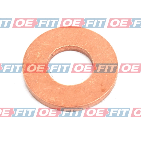 Seal Ring, oil drain plug (313 06 063 03 22)
