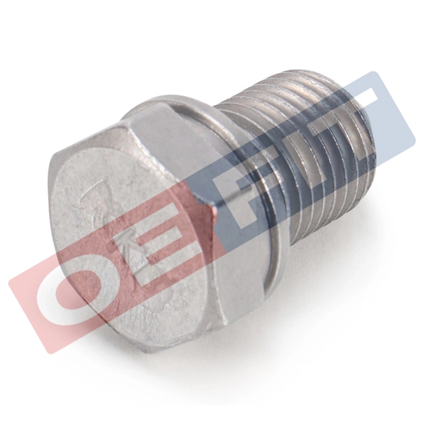 Screw Plug, oil sump (395 18 058 02 51)