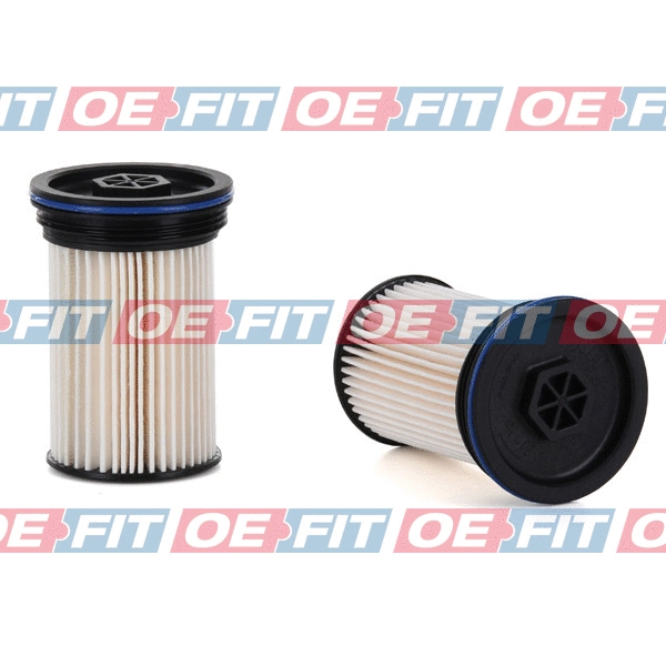 Fuel Filter (312 16 138 02 22)