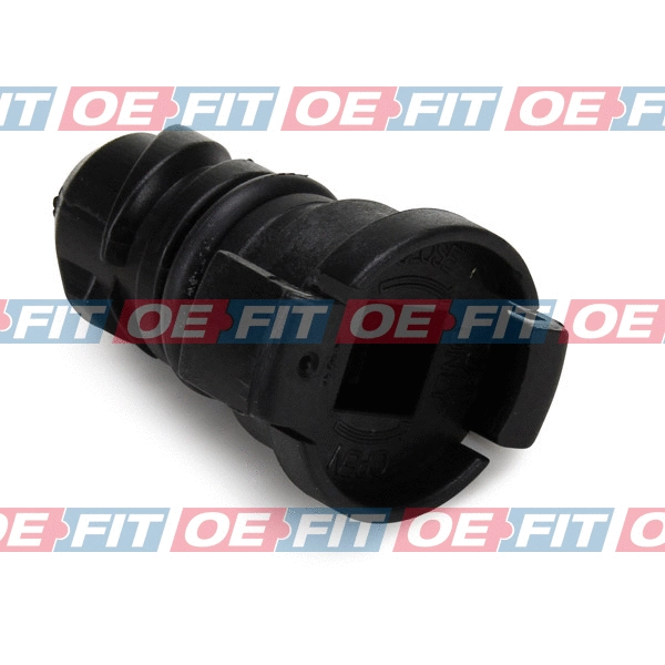 Screw Plug, oil sump (310 06 968 03 22)
