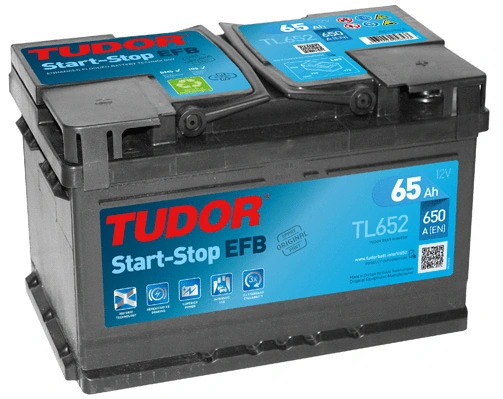 Starter Battery