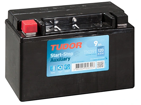 Starter Battery