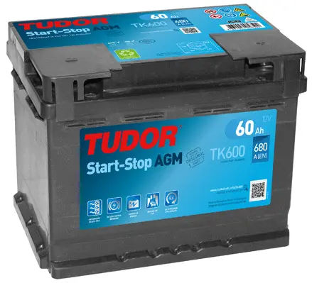 Starter Battery