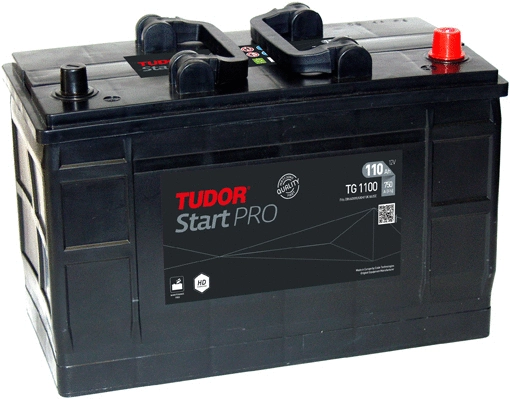 Starter Battery