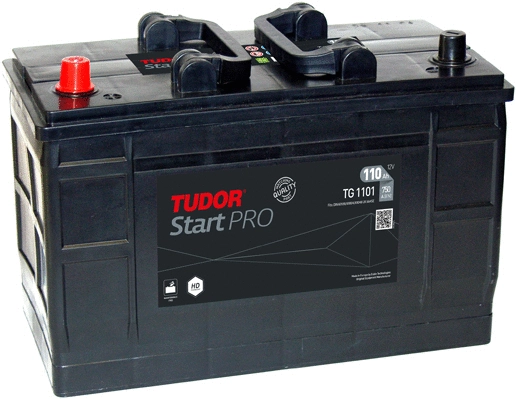 Starter Battery