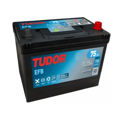 Starter Battery (TL754)