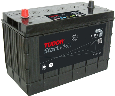 Starter Battery