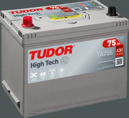 Starter Battery (TA755)