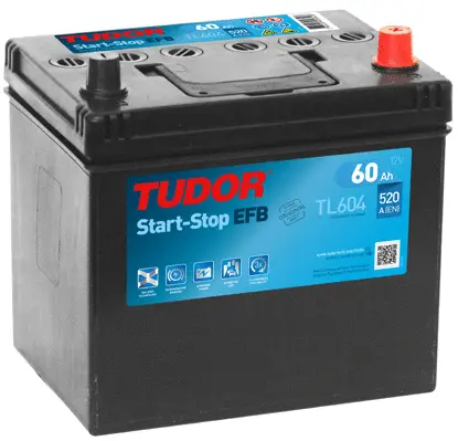 Starter Battery