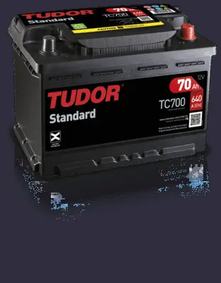 Starter Battery (TC700)