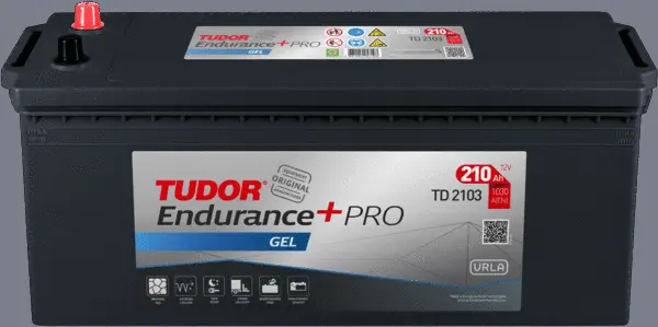 Starter Battery (TD2103)