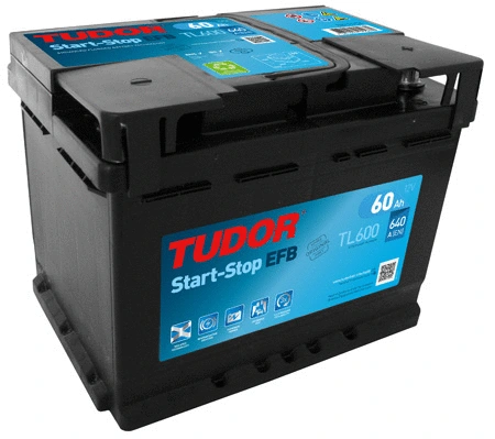 Starter Battery
