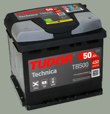 Starter Battery (TB500)