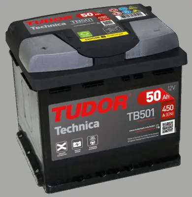 Starter Battery (TB501)