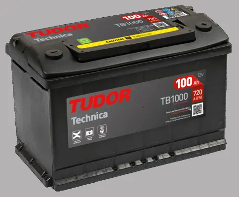 Starter Battery (TB1000)