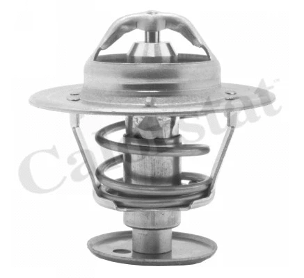 Thermostat, coolant (TH5981.89J)