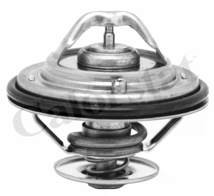 Thermostat, coolant (TH6529.82J)