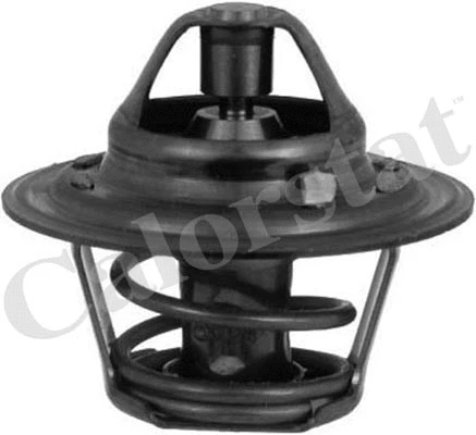 Thermostat, coolant (TH3319.88J)
