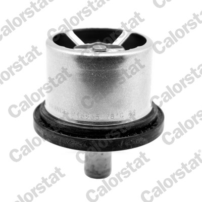 Thermostat, coolant (THS16965.79)