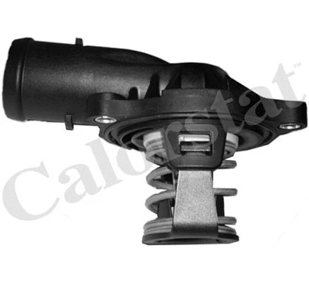 Thermostat, coolant (TH6994.87J)